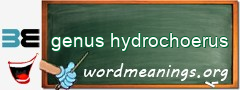 WordMeaning blackboard for genus hydrochoerus